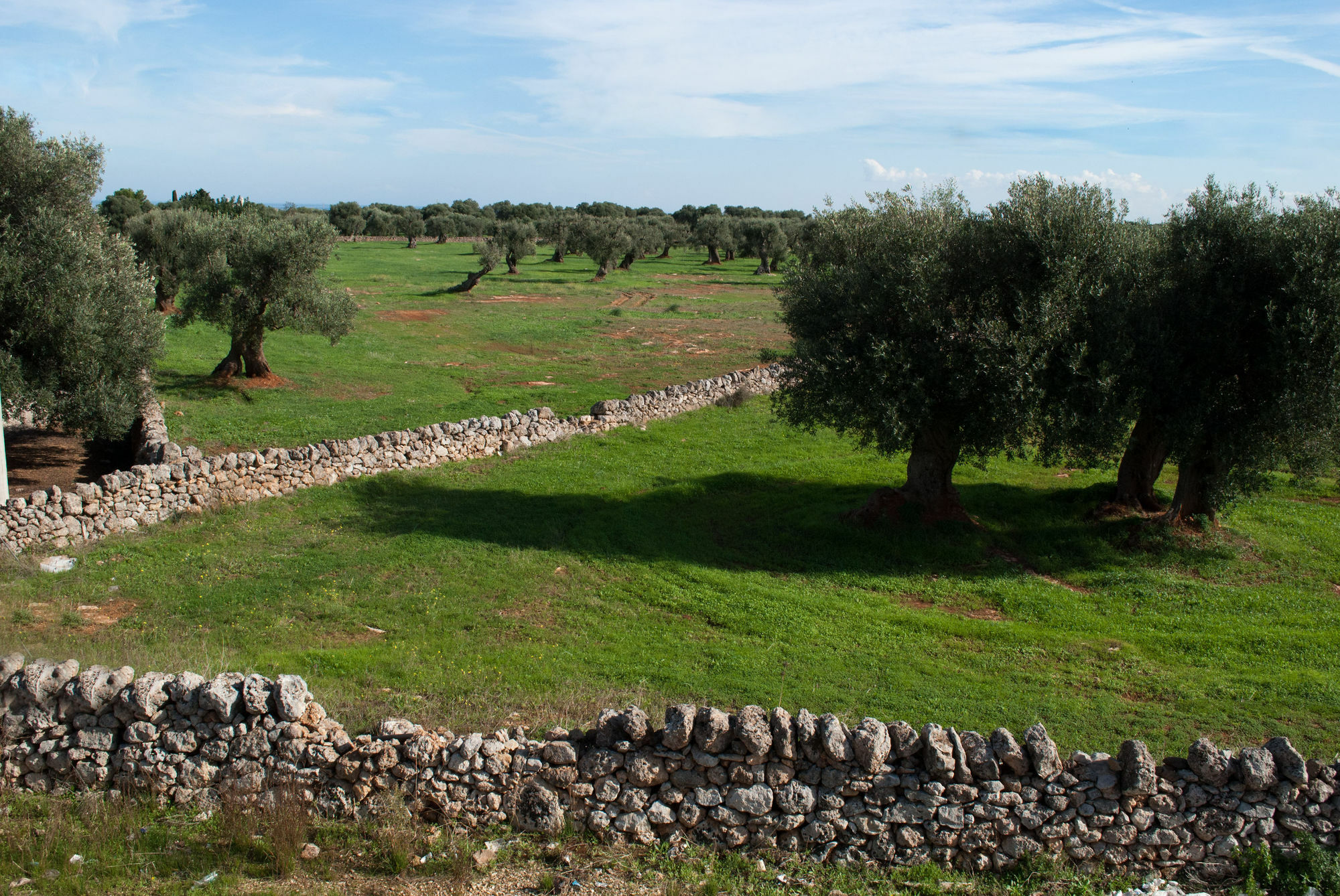 Masseria Lama D'Impisa فاسانو المظهر الخارجي الصورة